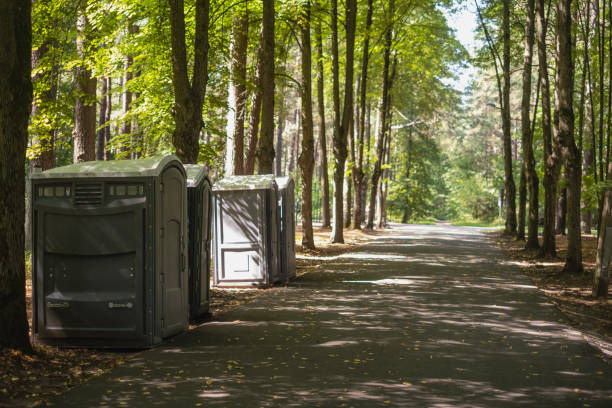 Portable Toilet Options We Offer in Tarpey Village, CA